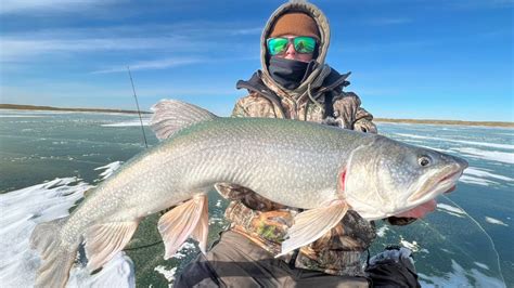 Ice Fishing for Lake Trout in Montana + Age Reveal! .
